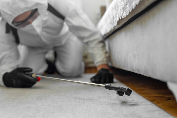 Professional Cockroach Control technician working in Hallandale Beach, FL