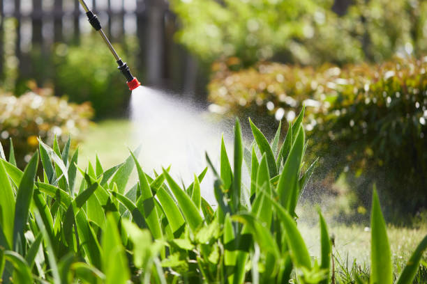 24/7 Emergency Cockroach Control experts in Hallandale Beach, FL