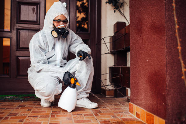 Reliable Cockroach Control contractor in Hallandale Beach, FL by Nex Pest Control