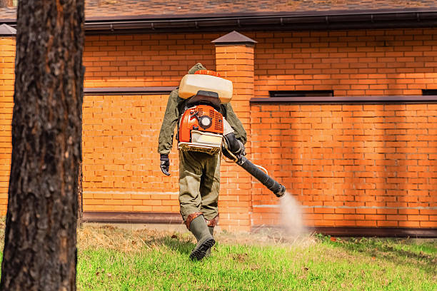 Trusted Rodent Control service in Hallandale Beach, FL - Nex Pest Control